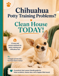 Chihuahua potty training guide PDF — 12 proven house-training methods for Chihuahuas