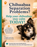 Chihuahua separation anxiety guide PDF — 12 proven methods to help your Chihuahua stay calm alone