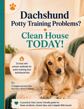 Dachshund potty training guide PDF — 12 proven house-training methods for dachshunds